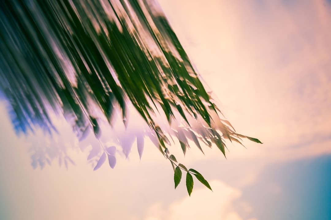 鹿晗拒绝staff帮忙系鞋带 真偶像的风采